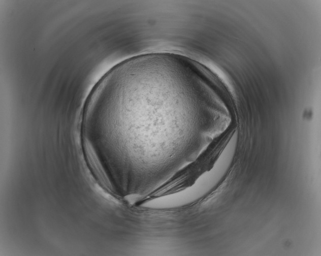 X0000090891102200708171700