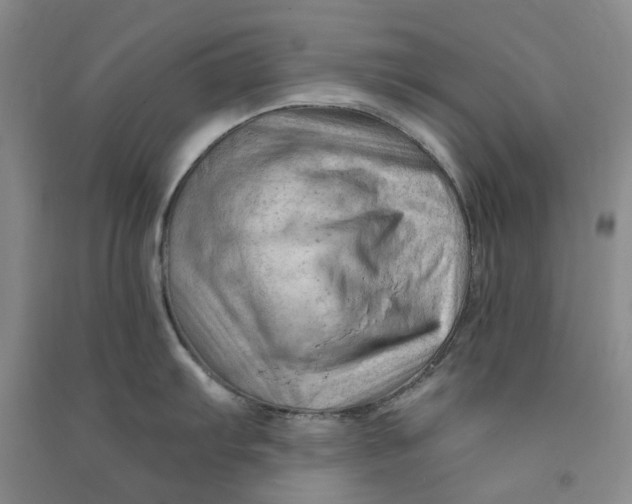 X0000090891103200708171700