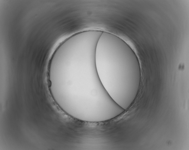 X0000090891104200708171700