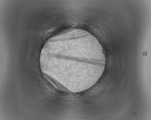 X0000090891105200708171700