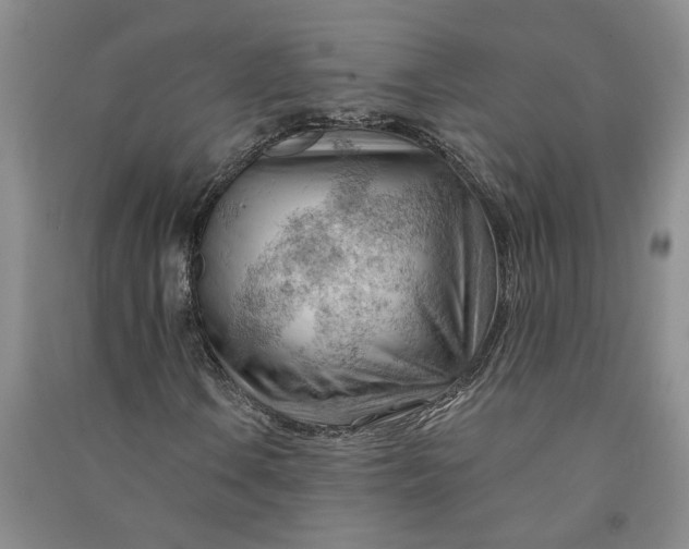 X0000090891106200708171700