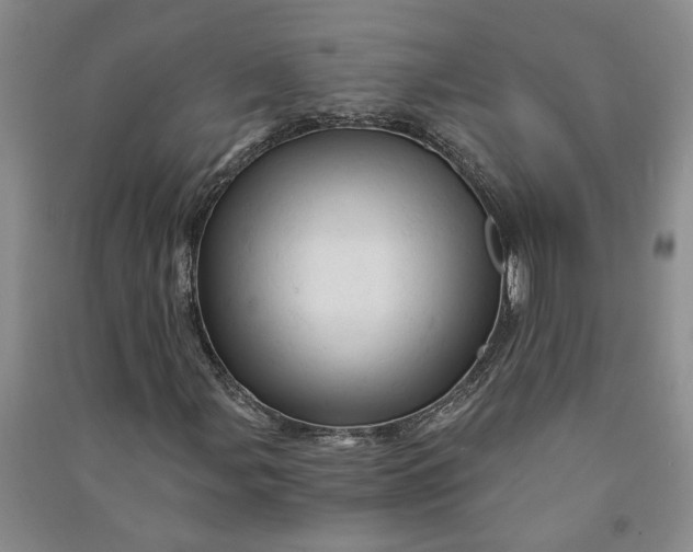 X0000090891107200708171700