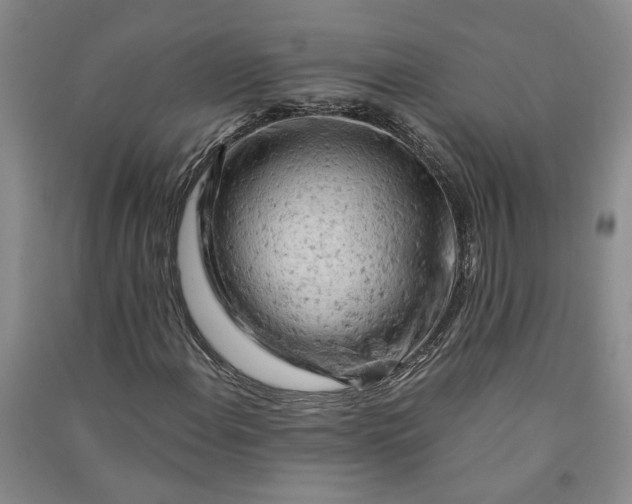 X0000090891108200708171700