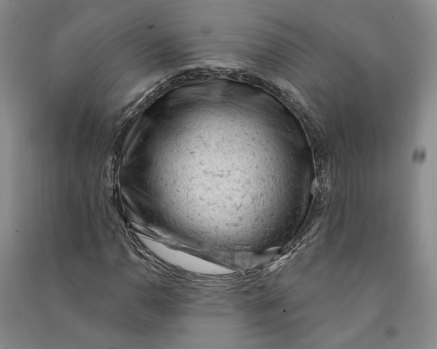 X0000090891110200708171700