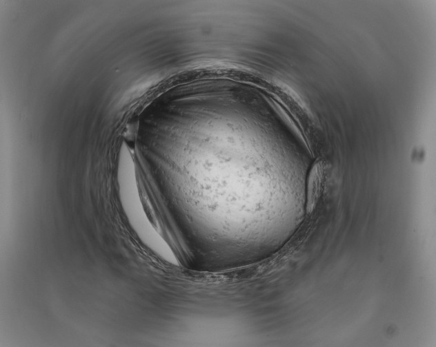 X0000090891111200708171700