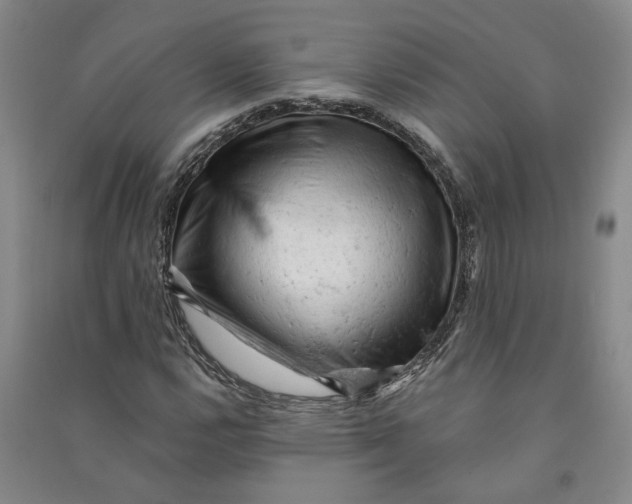 X0000090891112200708171700