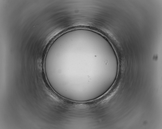 X0000090891113200708171700