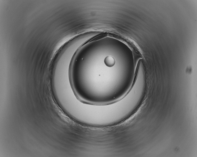 X0000090891114200708171700