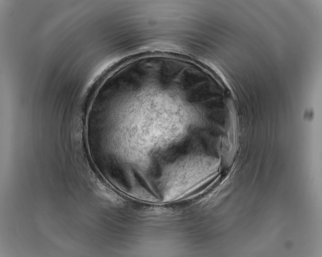 X0000090891115200708171700