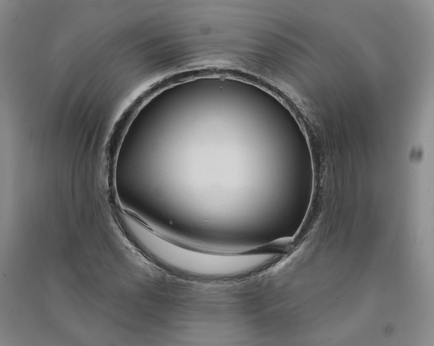 X0000090891118200708171700