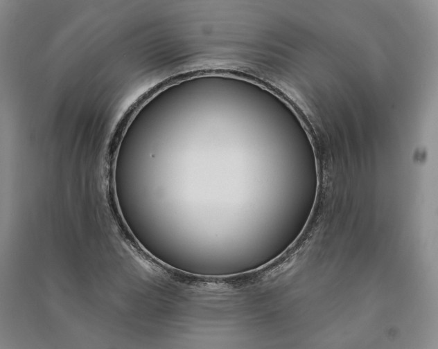 X0000090891119200708171700