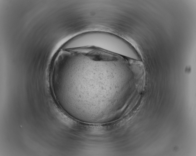 X0000090891120200708171700