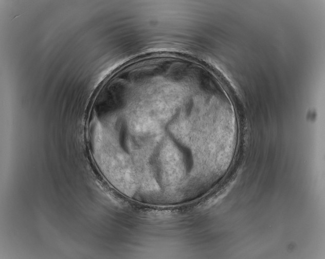 X0000090891121200708171700