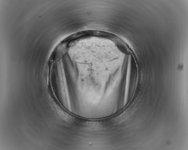 X0000090891123200708171700