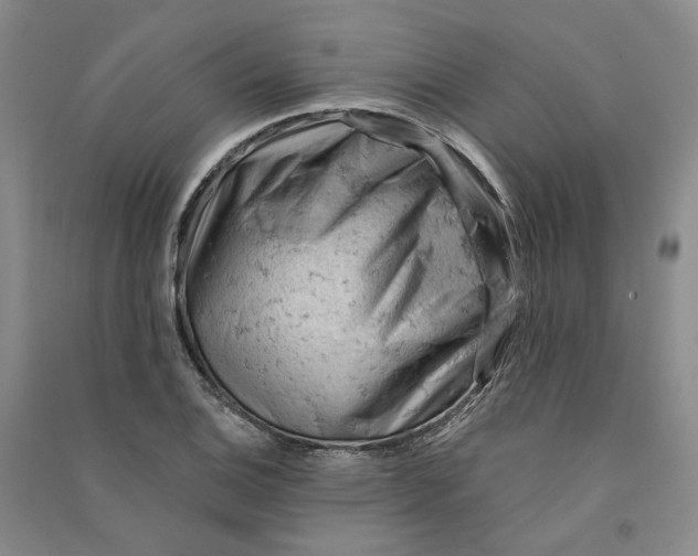 X0000090891124200708171700