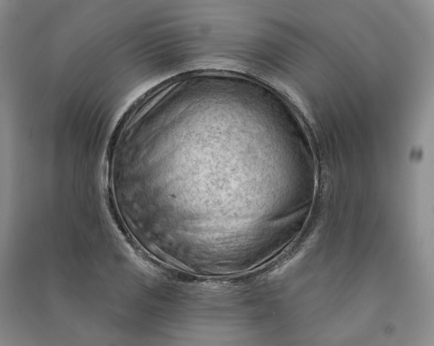 X0000090891125200708171700