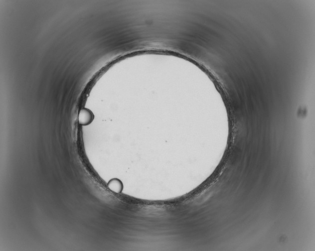 X0000090891126200708171700