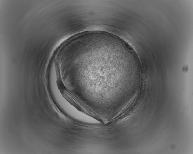 X0000090891127200708171700