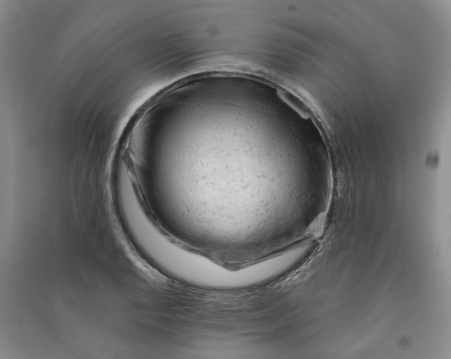 X0000090891128200708171700