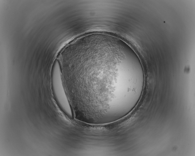 X0000090891129200708171700