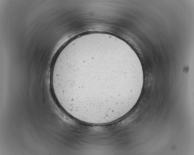 X0000090891130200708171700