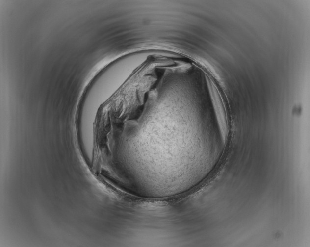 X0000090891133200708171700