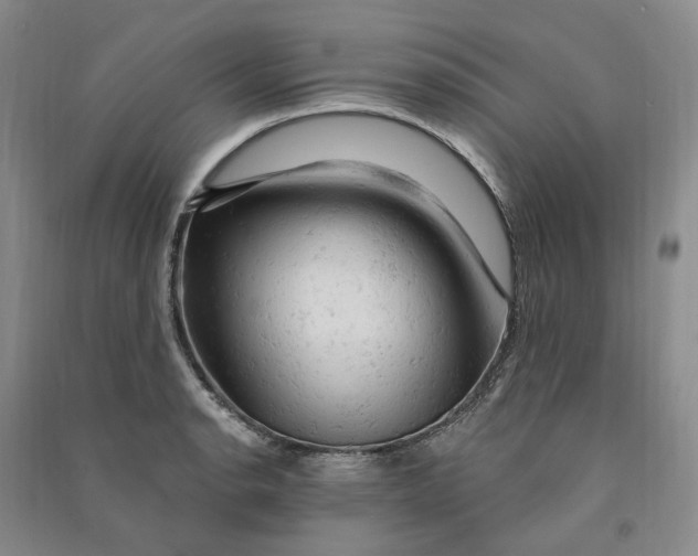 X0000090891134200708171700