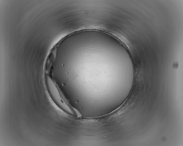 X0000090891135200708171700