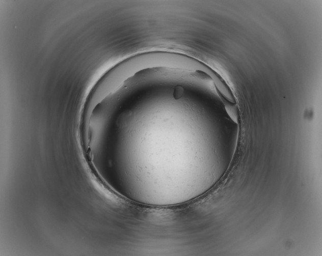 X0000090891136200708171700