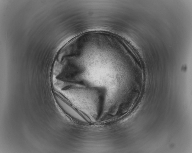 X0000090891137200708171700