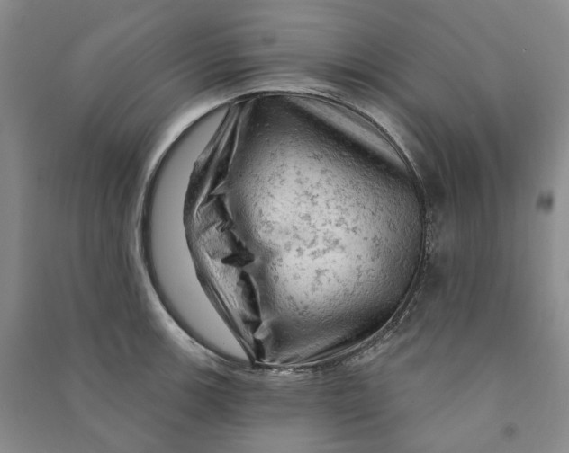 X0000090891139200708171700