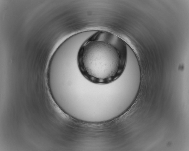 X0000090891140200708171700