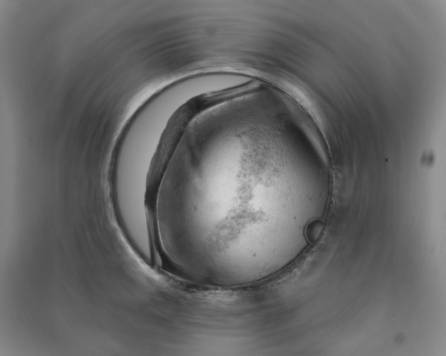 X0000090891141200708171700