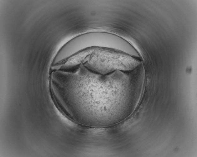 X0000090891143200708171700