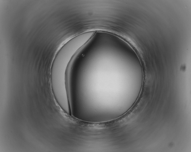 X0000090891145200708171700