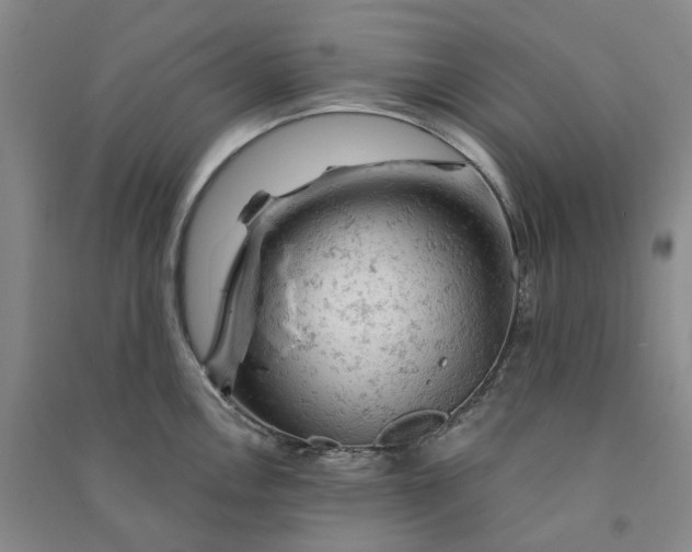 X0000090891146200708171700