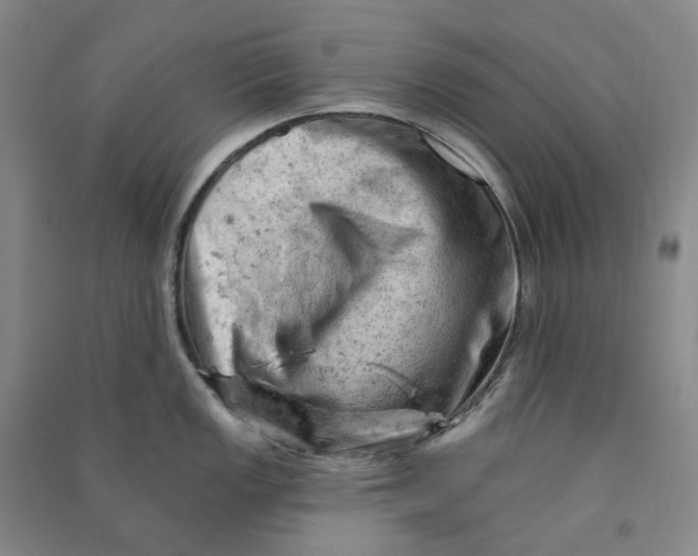 X0000090891149200708171700