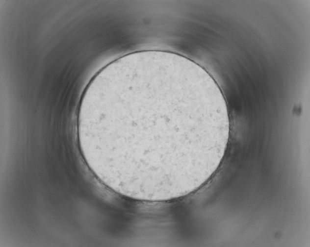 X0000090891150200708171700