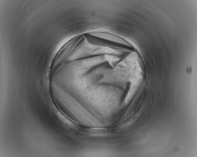 X0000090891151200708171700