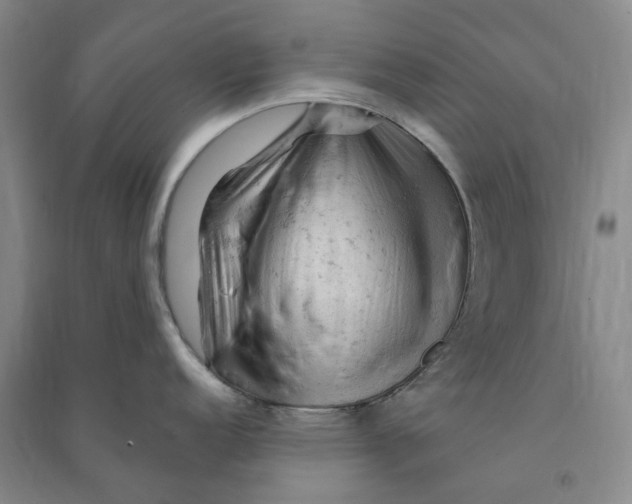 X0000090891152200708171700