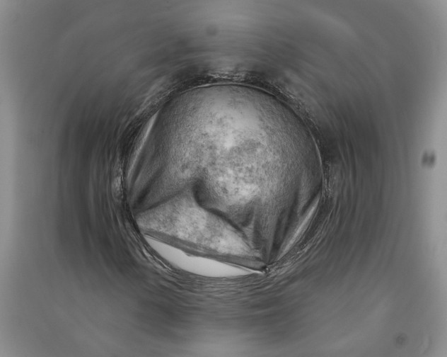 X0000090891154200708171700