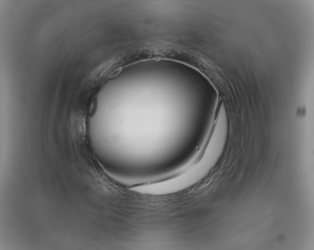 X0000090891155200708171700