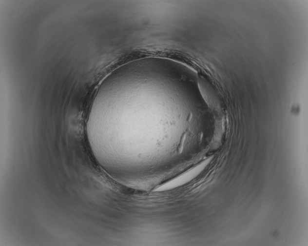 X0000090891156200708171700