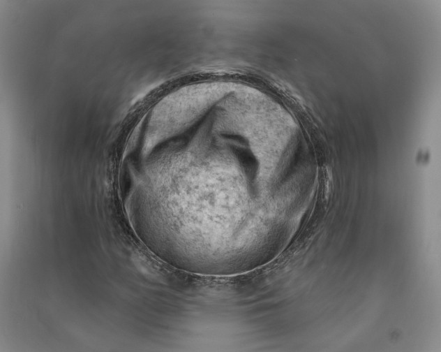 X0000090891158200708171700