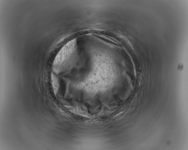 X0000090891159200708171700