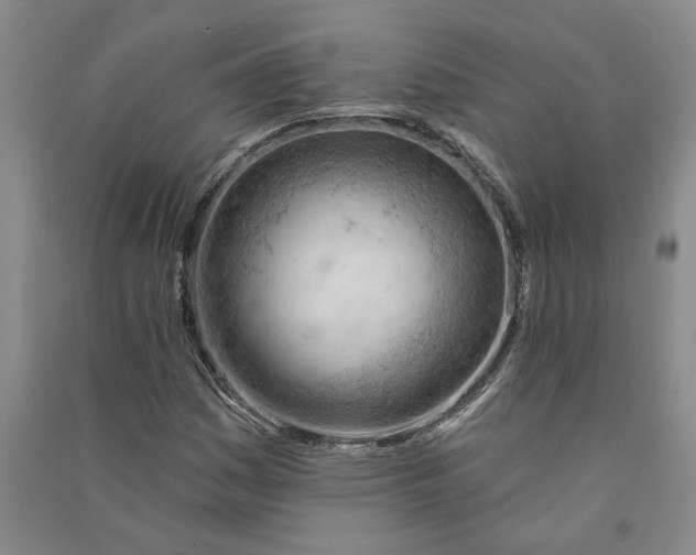 X0000090891161200708171700