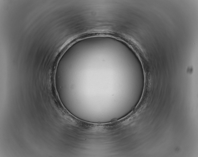 X0000090891162200708171700