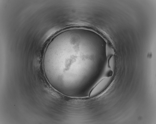 X0000090891163200708171700