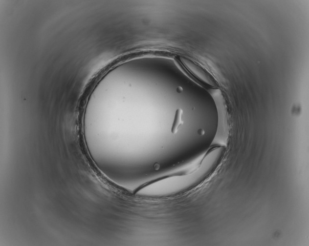 X0000090891164200708171700