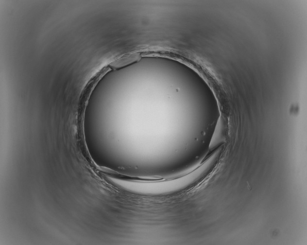 X0000090891165200708171700